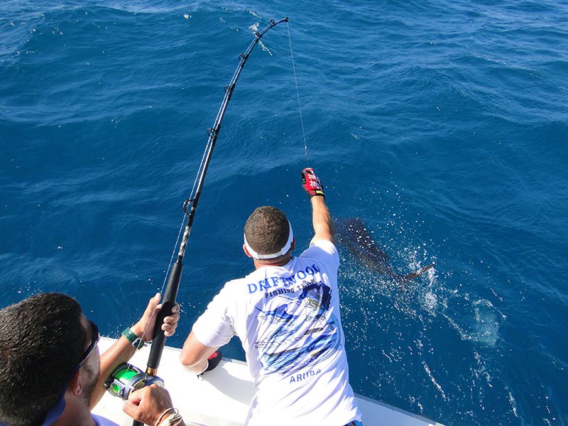 Aruba Fishing Charters Best Deep Sea Fishing in Aruba 2022