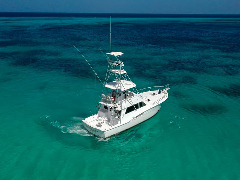 aruba-top-fishing-charters